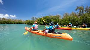 Abseiling And Canoying