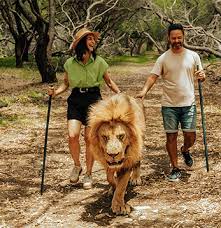 Casela Nature parks & Flic enFlac Beach 2