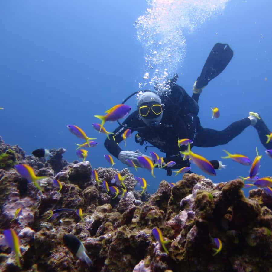 East Belle Mare Scuba Diving Tour 2
